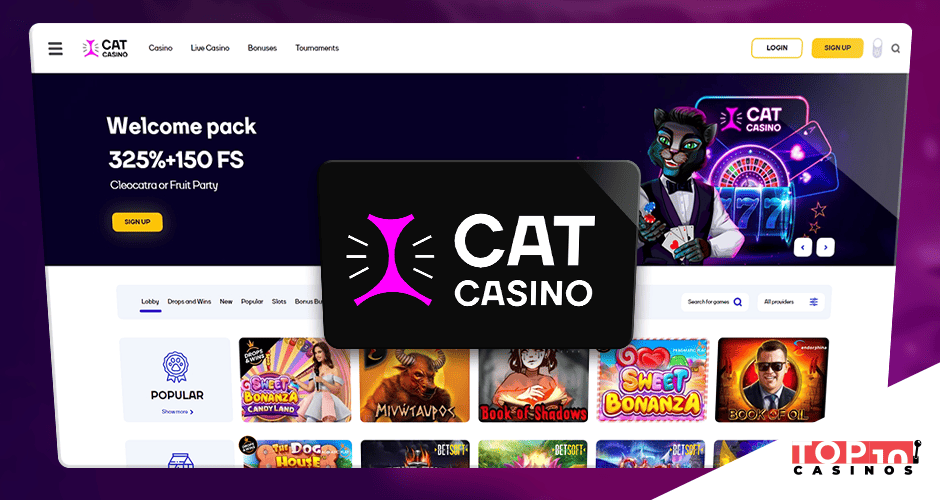 cat casino